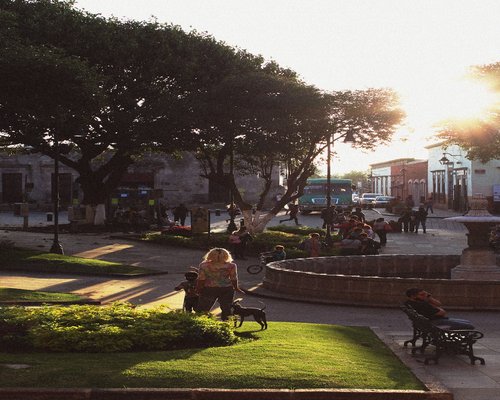A person walking through a green urban park in Mexico during the afternoon